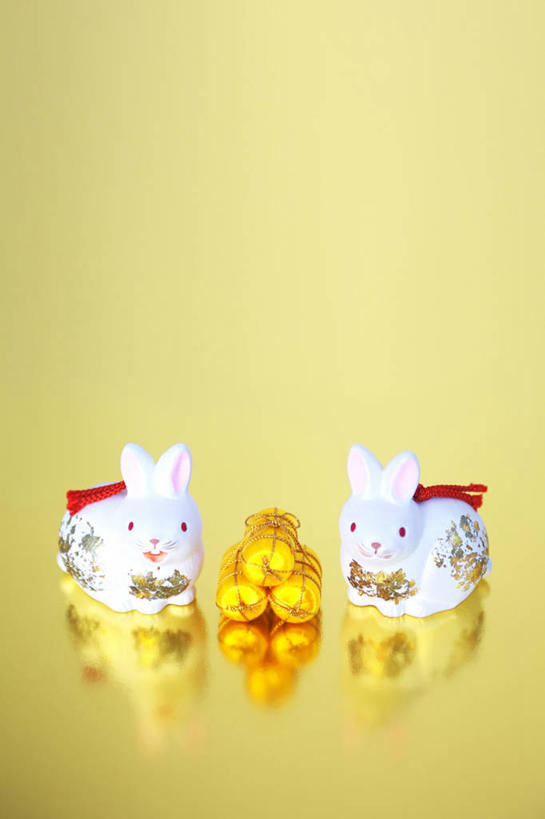 点心,月饼,无人,站,竖图,俯视,室内,特写,白天,哺乳动物,静物,雕塑,阴影,黄色背景,艺术,装饰,反射,兔子,雕刻,雕像,影子,料理,食品,面点,注视,文化,传统,美食,十二生肖,食物,糕点,动物,工艺品,观察,看,站着,两只,属相,中式,摄影,生肖,影棚,观看,纪念,兔,美术,察看,关注,主题,陈列,功能,美学,兽历,宫饼,胡饼,团圆饼,小饼,月团,陶瓷雕塑,站立,彩图,高角度拍摄,全身,影棚拍摄,拍摄