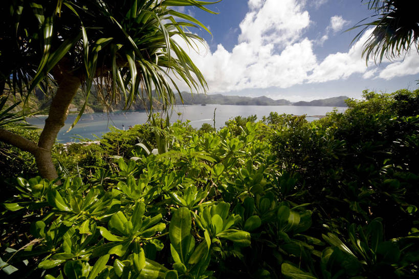 无人,横图,室外,白天,正面,旅游,度假,海浪,海洋,石头,美景,森林,沙滩,山,山脉,树林,植物,东京,日本,亚洲,阴影,光线,沙子,石子,影子,海岸,景观,浪花,山顶,山峰,云,云朵,沙地,山峦,云彩,娱乐,树,树木,蓝色,绿色,白云,蓝天,天空,阳光,自然,海水,群山,天,享受,休闲,景色,放松,生长,晴朗,成长,自然风光,海景,东亚,沉积岩,本州,关东地方,本州岛,日本国,东京都,颠峰,极峰,小笠原群岛,水成岩,父岛列岛,大海,风浪,海,海水的波动,海滩,近岸浪,石块,岩石,涌浪,晴空,彩图