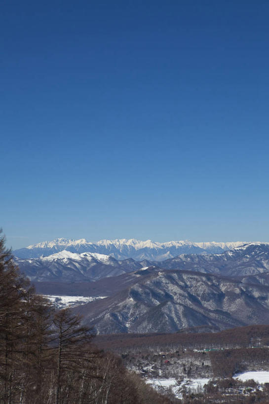 无人,公园,竖图,室外,白天,正面,旅游,度假,石头,美景,森林,山,树林,雪,雪山,植物,大雪,长野县,日本,亚洲,阴影,光线,石子,影子,冰,积雪,景观,山顶,山峰,雪景,冬季,冬天,山峦,娱乐,树,树木,蓝色,绿色,蓝天,天空,阳光,自然,天,享受,休闲,景色,放松,寒冷,生长,晴朗,成长,冰冷,自然风光,东亚,沉积岩,本州,万里无云,本州岛,日本国,中部地方,山梨,山梨县,长野,严寒,冰凉,酷寒,凛冽,凛凛,极冷,颠峰,极峰,水成岩,蓼科山,石块,岩石,晴空,晴空万里,彩图,国定公园,诹访富士,八岳中信高原国定公园