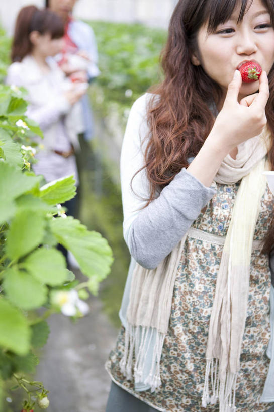 东方人,三个人,家庭,夫妻,伙伴,朋友,站,笑,吃,微笑,露齿笑,竖图,室内,白天,正面,爱情,友谊,草莓,浆果,水果,叶子,亚洲,握,服装,朦胧,模糊,新鲜,装饰,生食,食品,果实,绿叶,浪漫,拿,温室,拿着,注视,休闲装,黄种人,食物,衣服,红色,围巾,观察,看,站着,休闲,温暖,温馨,一家人,休闲服,嫩叶,恩爱,握着,恋人,服饰,有机食品,绿色食品,设施,围脖,观看,保暖,华丽,点缀,和睦,察看,暖房,防寒,御寒,关注,加温,透光,保温,衬托,美观,雅致,雅观,友情,男人,男性,年轻男性,年轻女性,女人,女性,亚洲人,年轻人,夫妇,情侣,叶,叶片,洋莓,水果皇后,红莓,地莓,嚼,食,站立,半身,彩图,伴侣,融洽