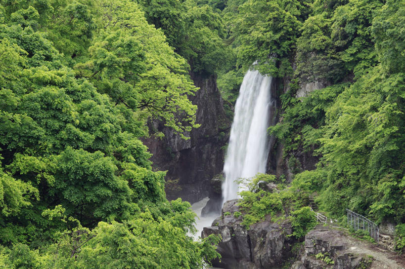 无人,横图,俯视,室外,白天,旅游,度假,河流,石头,美景,瀑布,森林,树林,水,植物,日本,亚洲,飞溅,溅,石子,液体,河水,景观,水滴,水流,娱乐,水珠,树,树木,绿色,小溪,自然,溪水,享受,休闲,景色,放松,生长,成长,喷洒,自然风光,东亚,本州,本州岛,日本国,石川,石川县,中部地方,跌水,石块,岩石,彩图,高角度拍摄