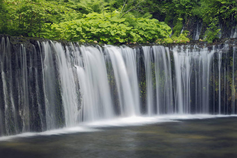 无人,横图,室外,白天,正面,旅游,度假,河流,石头,美景,瀑布,森林,树林,水,植物,长野县,日本,亚洲,飞溅,溅,石子,液体,河水,景观,水滴,水流,娱乐,水珠,树,树木,绿色,自然,享受,休闲,景色,放松,生长,成长,喷洒,自然风光,东亚,本州,本州岛,日本国,中部地方,长野,轻井泽,轻井泽町,白系瀑布,跌水,石块,岩石,彩图,北佐久郡