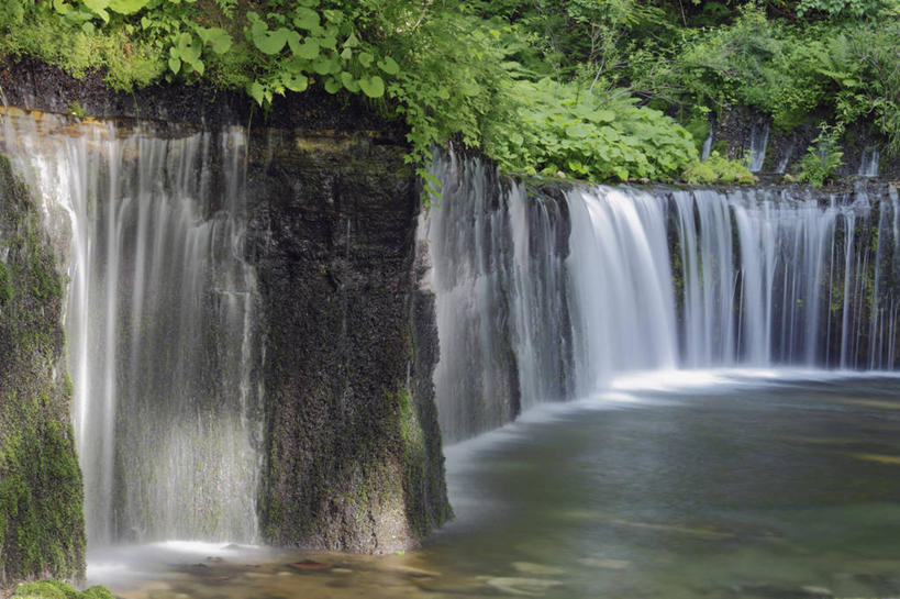 无人,横图,室外,白天,正面,旅游,度假,河流,石头,美景,瀑布,森林,树林,水,植物,长野县,日本,亚洲,飞溅,溅,石子,液体,河水,景观,水滴,水流,娱乐,水珠,树,树木,绿色,自然,享受,休闲,景色,放松,生长,成长,喷洒,自然风光,东亚,本州,本州岛,日本国,中部地方,长野,轻井泽,轻井泽町,白系瀑布,跌水,石块,岩石,彩图,北佐久郡