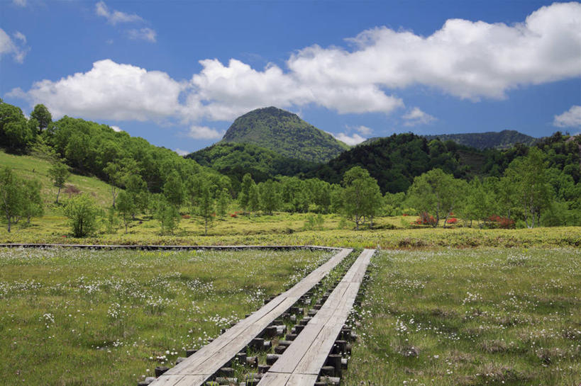 无人,横图,室外,白天,正面,旅游,度假,农作物,草地,草坪,美景,山,山脉,植物,长野县,日本,亚洲,阴影,柔软,光线,影子,景观,山峰,云,云朵,棉花,羊胡子草,山峦,云彩,娱乐,草,树,树木,纺织,蓝色,绿色,白云,蓝天,天空,阳光,自然,群山,天,享受,休闲,健康,温暖,景色,放松,生长,晴朗,成长,纤维,自然风光,东亚,本州,本州岛,日本国,中部地方,长野,柔和,暖和,卵穗苔草,山之内,山之内町,下高井郡,晴空,彩图