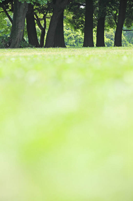 无人,竖图,室外,白天,正面,旅游,度假,草地,草坪,美景,树林,植物,东京,日本,亚洲,景观,树桩,娱乐,草,树,树干,树木,绿色,自然,享受,休闲,木桩,景色,放松,生长,成长,自然风光,东亚,本州,关东地方,本州岛,日本国,东京都,彩图,世田谷区