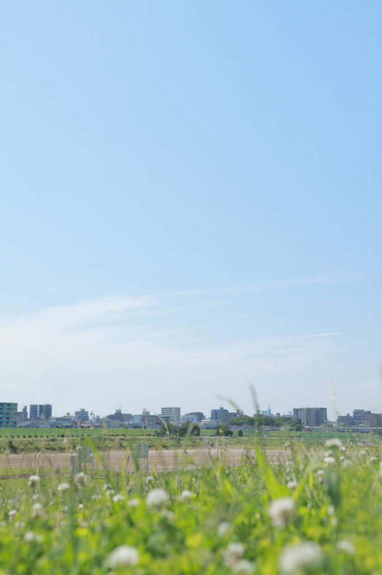 无人,竖图,室外,白天,正面,度假,草地,草坪,河流,美景,水,植物,城市风光,城市,东京,日本,亚洲,阴影,光线,影子,河水,景观,水流,娱乐,草,树,树木,蓝色,绿色,蓝天,天空,阳光,自然,天,享受,休闲,景色,放松,生长,晴朗,成长,东亚,本州,万里无云,关东地方,本州岛,日本国,东京都,大田区,晴空,晴空万里,彩图