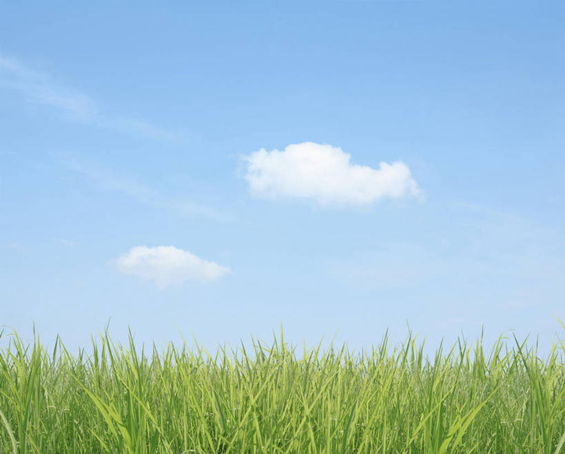 无人,横图,室外,白天,正面,旅游,度假,草地,草坪,美景,植物,东京,日本,亚洲,阴影,光线,影子,景观,云,云朵,云彩,娱乐,草,蓝色,绿色,白云,蓝天,天空,阳光,自然,天,享受,休闲,景色,放松,晴朗,自然风光,东亚,本州,关东地方,本州岛,日本国,东京都,大田区,晴空,彩图