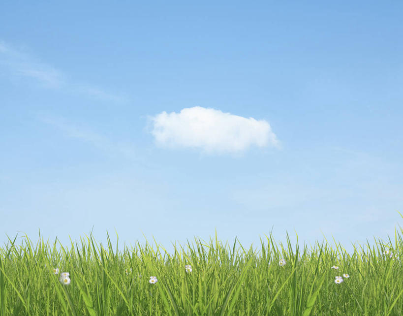 无人,横图,室外,白天,正面,旅游,度假,草地,草坪,美景,植物,东京,日本,亚洲,阴影,盛开,光线,影子,景观,云,云朵,花蕾,云彩,娱乐,草,花,花瓣,花朵,鲜花,蓝色,绿色,白色,白云,蓝天,天空,阳光,自然,天,花苞,花蕊,享受,休闲,景色,放松,晴朗,自然风光,东亚,本州,关东地方,本州岛,日本国,东京都,大田区,晴空,彩图