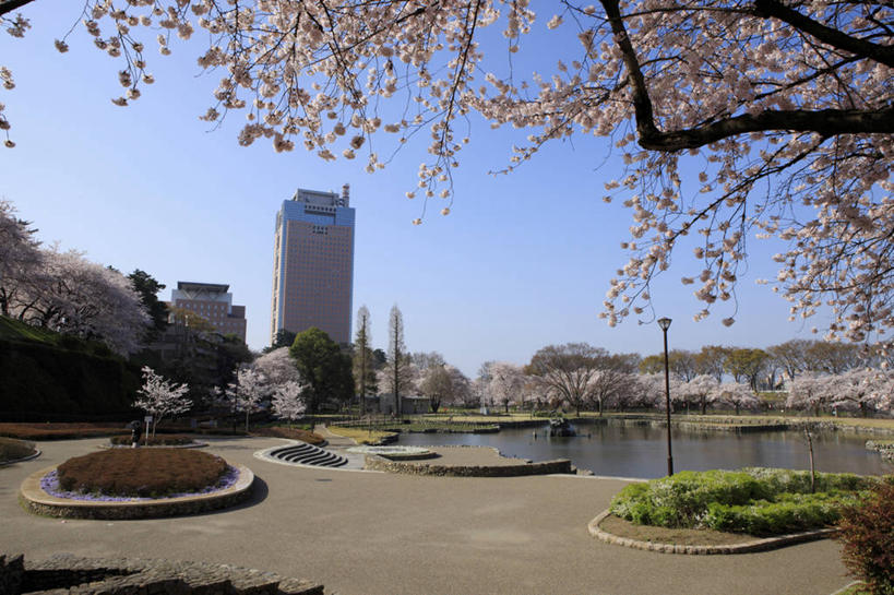 无人,高楼大厦,横图,室外,白天,正面,度假,幸福,纯洁,河流,美景,水,植物,城市风光,城市,大厦,建筑,路灯,摩天大楼,樱花,照明,日本,亚洲,许多,阴影,盛开,光线,影子,河水,景观,水流,灯光,花蕾,娱乐,灯,花,花瓣,花朵,鲜花,树,树木,蓝色,绿色,蓝天,天空,阳光,自然,天,花苞,花蕊,享受,休闲,景色,放松,生长,晴朗,成长,等待,照亮,生命,照明设备,东亚,本州,万里无云,关东地方,本州岛,日本国,群马,群马县,仙樱花,福岛樱,青肤樱,高尚,县厅,热烈,前桥,前桥市,晴空,晴空万里,荆桃,彩图,大楼,高层建筑,高楼,摩天楼