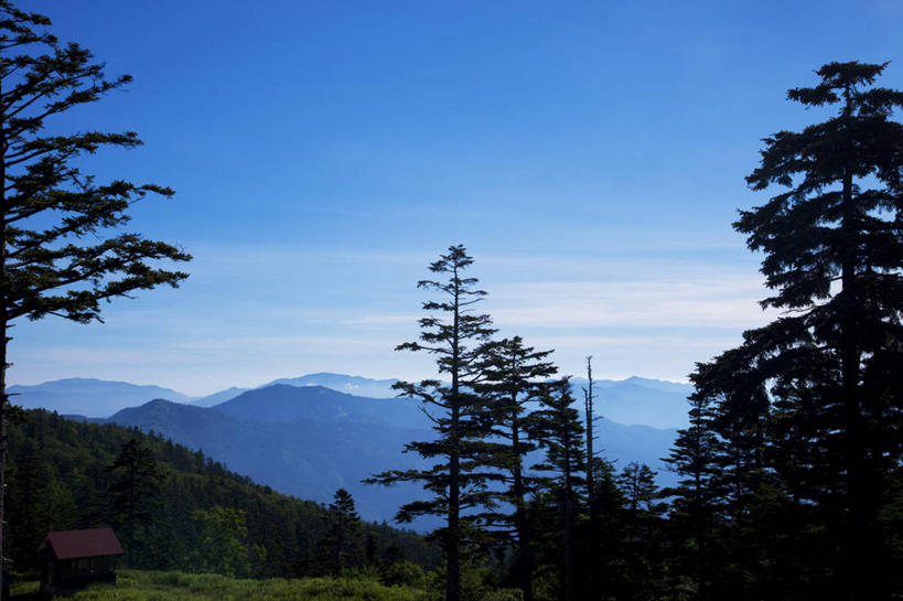 无人,横图,室外,白天,正面,旅游,度假,美景,山,山脉,树林,植物,长野县,日本,亚洲,阴影,光线,影子,景观,山峰,云,云朵,山峦,云彩,娱乐,树,树木,蓝色,绿色,白云,蓝天,天空,阳光,自然,群山,天,享受,休闲,景色,放松,生长,晴朗,成长,自然风光,东亚,本州,本州岛,日本国,中部地方,长野,山之内,山之内町,下高井郡,晴空,彩图
