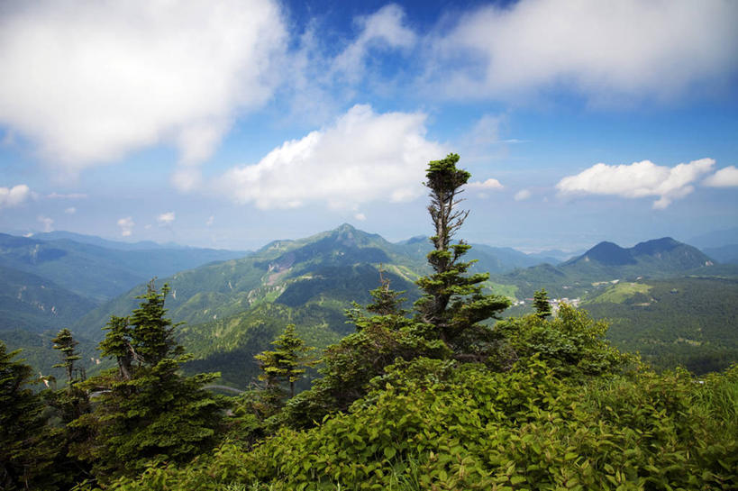 无人,横图,室外,白天,正面,旅游,度假,草地,草坪,美景,山,山脉,树林,植物,长野县,日本,亚洲,阴影,光线,影子,景观,山峰,云,云朵,山峦,云彩,娱乐,草,树,树木,蓝色,绿色,白云,蓝天,天空,阳光,自然,群山,天,享受,休闲,景色,放松,生长,晴朗,成长,自然风光,东亚,本州,本州岛,日本国,中部地方,长野,山之内,山之内町,下高井郡,晴空,彩图