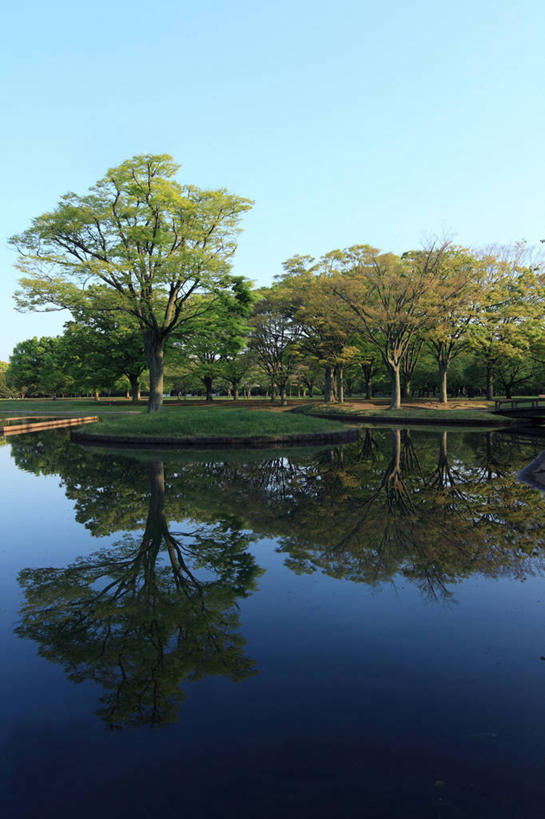 无人,公园,竖图,室外,白天,正面,旅游,度假,湖,湖泊,美景,树林,水,植物,东京,日本,亚洲,阴影,光线,影子,湖面,景观,水流,水面,娱乐,树,树木,蓝色,绿色,倒影,蓝天,天空,阳光,自然,湖水,天,享受,休闲,景色,放松,生长,晴朗,成长,倒映,自然风光,东亚,本州,万里无云,关东地方,本州岛,日本国,东京都,涩谷,涉谷,涩谷区,代代木公园,反照,晴空,晴空万里,彩图