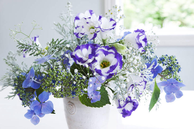 无人,横图,室内,特写,白天,正面,爱情,智慧,骄傲,窗户,八仙花,郁金香,花瓶,许多,阴影,艺术,装饰,盛开,反射,影子,陶瓷,墙,陶瓷制品,很多,祝福,花蕾,文化,玻璃窗,墙壁,墙面,花,花瓣,花朵,鲜花,一个,蓝色,紫色,白色,插花,瓶子,花苞,花蕊,绣球花,单个,华丽,修饰,插花艺术,龙胆,紫阳花,洋绣球,点缀,创造,表白,龙胆花,创作,荣誉,想象,草绣球,斗球,七变化,粉团花,永恒,衬托,美观,雅致,雅观,善变,郁香,洋荷花,草麝香,彩图,地胆头,苦地胆,三花龙胆