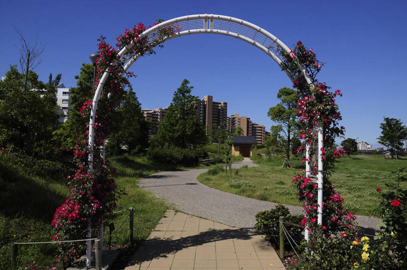 无人,家,横图,室外,白天,正面,度假,草地,草坪,美景,植物,城市风光,城市,日本,亚洲,阴影,盛开,光线,影子,房屋,屋子,景观,公寓,拱门,千叶县,花蕾,娱乐,洋房,楼房,住宅,草,花,花瓣,花朵,鲜花,树,树木,蓝色,绿色,蓝天,天空,阳光,自然,天,花苞,花蕊,享受,休闲,景色,放松,生长,晴朗,成长,东亚,本州,万里无云,关东地方,本州岛,日本国,千叶,浦安市,浦安,晴空,晴空万里,彩图,房子