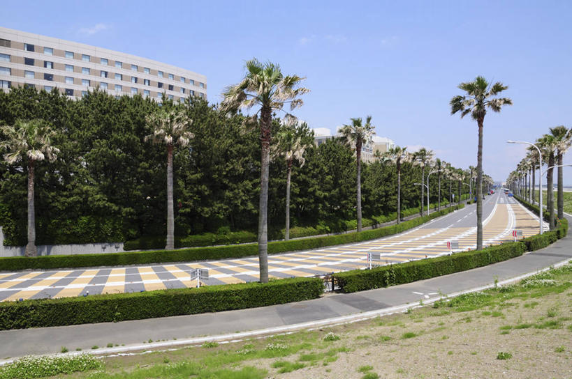 无人,家,横图,室外,白天,正面,度假,草地,草坪,美景,植物,城市风光,城市,道路,路,公路,棕榈树,叶子,日本,亚洲,阴影,光线,影子,房屋,屋子,景观,公寓,绿叶,交通,千叶县,娱乐,洋房,楼房,住宅,草,树,树木,蓝色,绿色,蓝天,天空,阳光,自然,天,享受,休闲,嫩叶,景色,放松,生长,晴朗,成长,东亚,棕榈叶,本州,万里无云,关东地方,本州岛,日本国,千叶,浦安市,浦安,叶,叶片,晴空,晴空万里,马路,棕树,棕榈,彩图,房子,舞滨