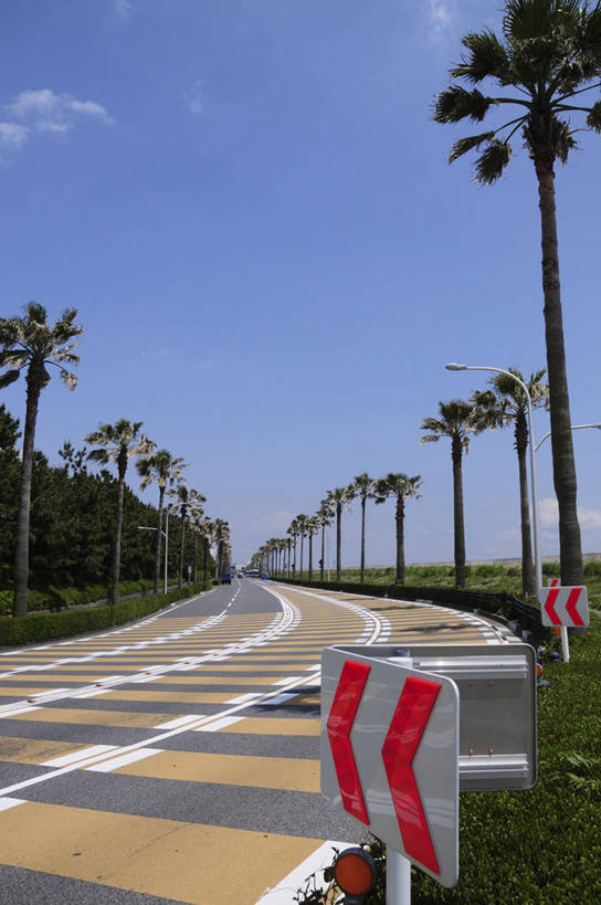 无人,家,竖图,室外,白天,正面,度假,草地,草坪,美景,植物,城市风光,城市,道路,路,指示牌,公路,棕榈树,叶子,日本,亚洲,阴影,光线,标志,文字,影子,房屋,屋子,景观,公寓,分界线,绿叶,停车线,交通,千叶县,娱乐,标识,洋房,楼房,住宅,草,树,树木,蓝色,绿色,蓝天,天空,阳光,自然,天,享受,休闲,嫩叶,景色,放松,生长,晴朗,成长,车行道,车行道分界线,标线,东亚,棕榈叶,车行线,本州,万里无云,关东地方,本州岛,日本国,千叶,浦安市,浦安,叶,叶片,晴空,晴空万里,马路,棕树,棕榈,彩图,房子,舞滨