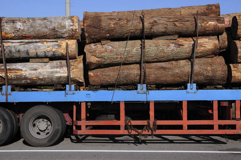 无人,横图,室外,白天,正面,度假,建材,美景,城市风光,城市,建筑,卡车,汽车,日本,亚洲,一堆,一辆,许多,阴影,堆叠,堆积,光线,材料,木板,木材,影子,景观,千叶市,千叶县,娱乐,车,木柴,蓝色,蓝天,天空,阳光,交通工具,天,享受,休闲,景色,放松,建造,木料,晴朗,堆,载具,东亚,本州,万里无云,关东地方,本州岛,日本国,县厅,千叶,晴空,晴空万里,彩图