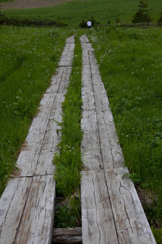 东方人,一个人,站,竖图,室外,白天,旅游,度假,草地,草坪,美景,植物,日本,亚洲,仅一个年轻女性,仅一个女性,仅一个人,服装,木板,景观,桥,木桥,休闲装,黄种人,娱乐,栈桥,草,背面,衣服,绿色,自然,站着,享受,休闲,休闲服,景色,放松,服饰,人行桥,木板桥,自然风光,东亚,本州,本州岛,日本国,岩手,岩手县,东北地方,八幡平市,年轻女性,女人,女性,亚洲人,站立,彩图,全身