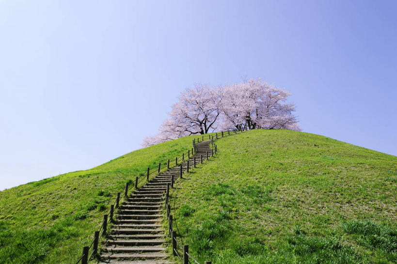 无人,栏杆,横图,室外,白天,仰视,旅游,度假,幸福,纯洁,草地,草坪,名胜古迹,山,山脉,植物,楼梯,标志建筑,地标,建筑,樱花,日本,亚洲,阴影,遗迹,盛开,光线,影子,栅栏,阶梯,篱笆,山峰,围栏,山峦,花蕾,古迹,文物,娱乐,建设,古建筑,护栏,台阶,草,花,花瓣,花朵,鲜花,蓝色,绿色,蓝天,天空,阳光,群山,天,花苞,花蕊,享受,休闲,墓地,旅游胜地,放松,晴朗,等待,坟墓,陵墓,生命,坟场,古文明,东亚,本州,万里无云,关东地方,本州岛,日本国,仙樱花,福岛樱,青肤樱,崎玉,崎玉县,高尚,热烈,晴空,晴空万里,荆桃,彩图,低角度拍摄,日本樱花