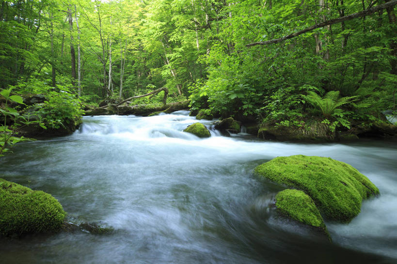 无人,横图,室外,白天,正面,旅游,度假,河流,石头,美景,水,植物,日本,亚洲,阴影,朦胧,模糊,光线,石子,影子,河水,景观,水流,云,云朵,青苔,苔藓,云彩,娱乐,树,树木,蓝色,绿色,白云,蓝天,天空,小溪,阳光,自然,天,溪水,享受,休闲,景色,放松,生长,晴朗,成长,自然风光,东亚,本州,本州岛,日本国,青森,青森县,东北地方,奥入濑町,奥入濑溪流,石块,晴空,彩图,上北郡