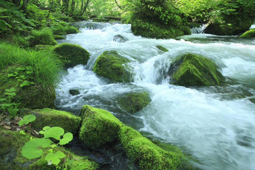 无人,横图,室外,白天,正面,旅游,度假,河流,石头,美景,水,植物,日本,亚洲,阴影,朦胧,模糊,光线,石子,影子,河水,景观,水流,云,云朵,青苔,苔藓,云彩,娱乐,树,树木,蓝色,绿色,白云,蓝天,天空,小溪,阳光,自然,天,溪水,享受,休闲,景色,放松,生长,晴朗,成长,自然风光,东亚,本州,本州岛,日本国,青森,青森县,东北地方,奥入濑町,奥入濑溪流,石块,晴空,彩图,上北郡