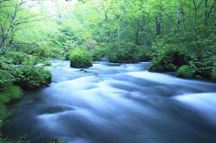 无人,横图,室外,白天,正面,旅游,度假,河流,石头,美景,树林,水,植物,日本,亚洲,阴影,朦胧,模糊,光线,石子,影子,河水,景观,水流,娱乐,树,树木,绿色,阳光,自然,享受,休闲,景色,放松,生长,成长,自然风光,东亚,本州,本州岛,日本国,青森,青森县,东北地方,奥入濑町,奥入濑溪流,石块,彩图,上北郡