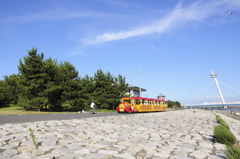 东方人,公园,坐,横图,室外,白天,正面,草地,草坪,石头,植物,道路,路,公共汽车,自行车,东京,日本,亚洲,一辆,行人,阴影,服装,光线,石子,影子,云,云朵,小路,桥,巴士,公交车,交通,许多人,云彩,注视,休闲装,黄种人,路人,车,脚踏车,草,树,树木,骑,衣服,蓝色,绿色,白云,蓝天,天空,阳光,自然,交通工具,天,观察,看,一群人,骑车,休闲,休闲服,服饰,吊桥,生长,晴朗,成长,观看,人行桥,悬索桥,察看,关注,载具,吊杆,东亚,本州,关东地方,本州岛,日本国,东京都,荒川区,江户川区,锚锭,悬索,过客,男人,男性,年轻男性,年轻女性,女人,女性,亚洲人,石块,岩石,晴空,坐着,彩图,全身,东京23区,葛西临海公园