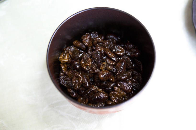 无人,横图,俯视,室内,特写,白天,桌面,桌子,金属制品,一堆,许多,堆叠,堆积,金属,昆虫,蚕,蚕蛹,褐色,很多,动物,容器,碗,储藏,堆,储存,益虫,家蚕,蚕宝宝,桑蚕,彩图,高角度拍摄,贮存