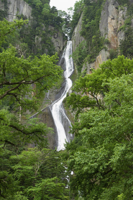 西方人,公园,竖图,室外,白天,正面,旅游,度假,美景,瀑布,山,山脉,水,植物,北海道,欧洲,日本,欧洲人,亚洲,阴影,飞溅,溅,光线,液体,影子,景观,山峰,水滴,悬崖,山峦,娱乐,水珠,树,树木,绿色,阳光,自然,群山,享受,休闲,景色,放松,生长,成长,喷洒,自然风光,东亚,日本国,北海道地方,北海道岛,绝壁,国立公园,层云峡,白种人,跌水,半身,彩图,大雪山国立公园