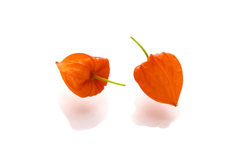 无人,横图,室内,特写,白天,白色背景,正面,餐桌,桌子,水果,阴影,新鲜,反射,影子,生食,食品,果实,食物,两个,红色,白色,倒影,摄影,有机食品,绿色食品,影棚,餐台,倒映,金灯,反照,挂金灯,红姑娘,锦灯笼,酸浆,泡泡草,彩图,影棚拍摄,拍摄