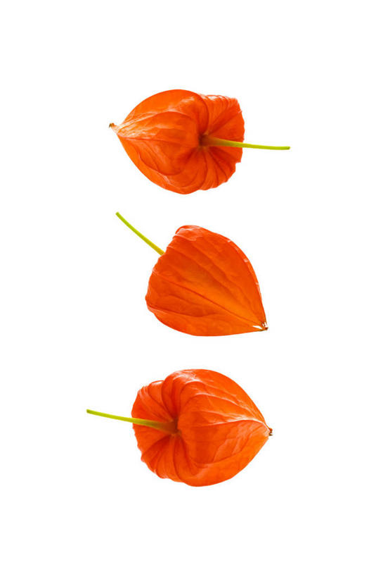 无人,竖图,室内,特写,白天,白色背景,正面,蔬菜,水果,阴影,新鲜,反射,影子,生食,食品,果实,蔬果,食物,三个,红色,白色,摄影,有机食品,绿色食品,影棚,金灯,挂金灯,红姑娘,锦灯笼,酸浆,泡泡草,彩图,影棚拍摄,拍摄