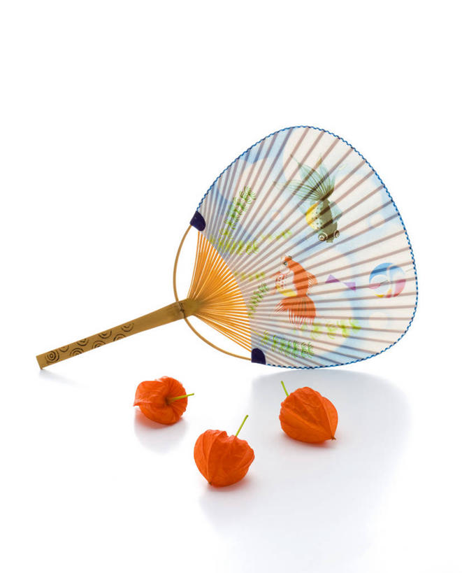 无人,竖图,室内,特写,白天,白色背景,正面,水果,阴影,新鲜,反射,扇子,影子,生食,食品,果实,清凉,凉爽,文化,食物,三个,一个,红色,白色,摄影,有机食品,绿色食品,影棚,单个,金灯,挂金灯,红姑娘,锦灯笼,酸浆,泡泡草,彩图,影棚拍摄,拍摄,和风扇,和风扇子,凉扇,传统文化