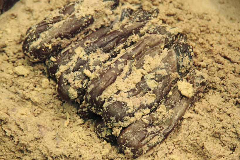 无人,横图,俯视,室内,特写,白天,茄子,蔬菜,一堆,许多,阴影,堆叠,堆积,新鲜,反射,木桶,桶,影子,调料,味增,食品,调味品,很多,调味料,食物,一个,紫色,容器,有机食品,绿色食品,单个,储藏,堆,储存,日式大豆酱,味噌,落苏,酪酥,昆仑瓜,矮瓜,彩图,高角度拍摄,贮存