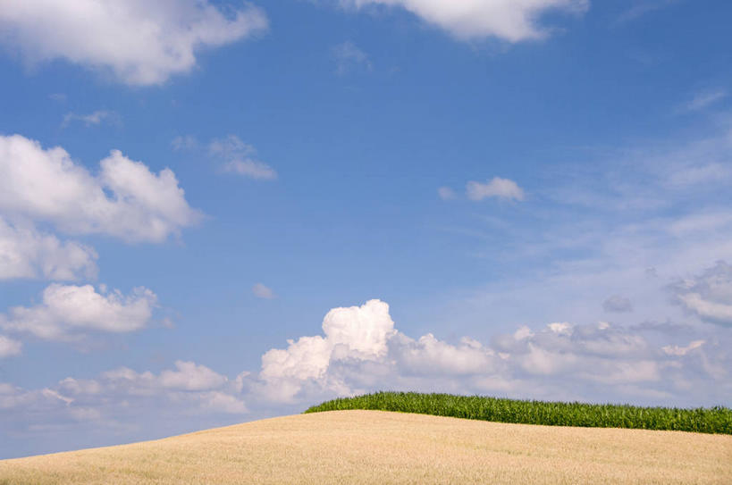 无人,农田,横图,室外,白天,正面,旅游,度假,庄稼,农作物,小麦,草地,草坪,石头,美景,山,山脉,树林,植物,北海道,日本,亚洲,阴影,光线,石子,影子,景观,山峰,云,云朵,谷物,山峦,麦田,云彩,娱乐,草,树,树木,蓝色,绿色,白云,蓝天,天空,阳光,自然,群山,天,享受,休闲,景色,放松,麦子,生长,晴朗,成长,自然风光,东亚,沉积岩,日本国,北海道地方,北海道岛,水成岩,石块,岩石,晴空,彩图,耕地,庄稼田