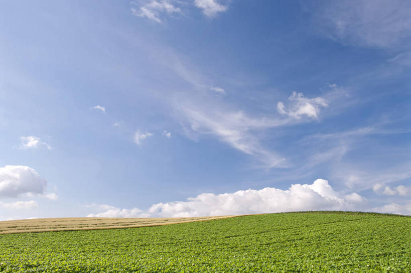 无人,农田,横图,室外,白天,正面,旅游,度假,庄稼,农作物,小麦,石头,美景,山,山脉,北海道,日本,亚洲,阴影,光线,石子,影子,地平线,景观,山峰,云,云朵,辽阔,谷物,地面,山峦,麦田,云彩,娱乐,蓝色,白云,蓝天,天空,阳光,自然,群山,天,享受,休闲,广阔,景色,放松,麦子,晴朗,一望无际,自然风光,延伸,东亚,日本国,天地相交,北海道地方,北海道岛,无边无际,一马平川,石块,岩石,晴空,彩图,耕地,庄稼田