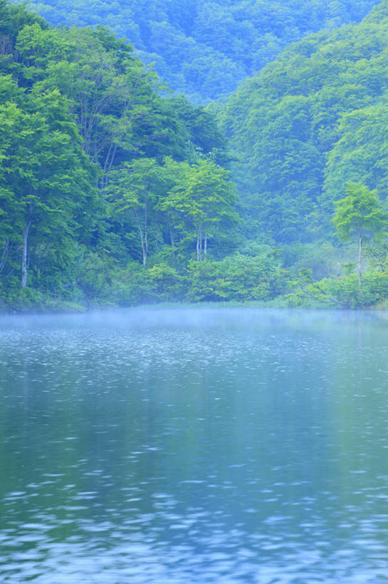 无人,竖图,室外,白天,正面,旅游,度假,湖,湖泊,美景,森林,树林,水,植物,雾,日本,亚洲,波纹,朦胧,模糊,湖面,景观,水流,水面,涟漪,娱乐,树,树木,绿色,倒影,水纹,自然,波浪,湖水,享受,休闲,景色,放松,生长,成长,迷雾,倒映,自然风光,东亚,本州,本州岛,日本国,中部地方,水晕,新潟,新潟县,反照,大雾,彩图,十日町市