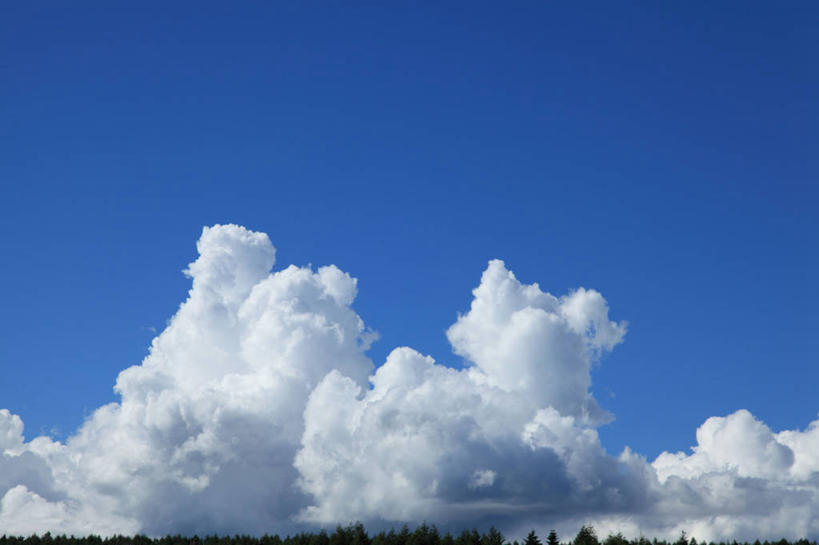 无人,横图,室外,白天,仰视,旅游,度假,美景,树林,植物,长野县,日本,亚洲,阴影,光线,影子,景观,云,云朵,云彩,娱乐,树,树木,蓝色,绿色,白云,蓝天,天空,阳光,自然,天,享受,休闲,景色,放松,生长,晴朗,成长,自然风光,东亚,本州,本州岛,日本国,中部地方,长野,诹访,诹访市,晴空,彩图,低角度拍摄