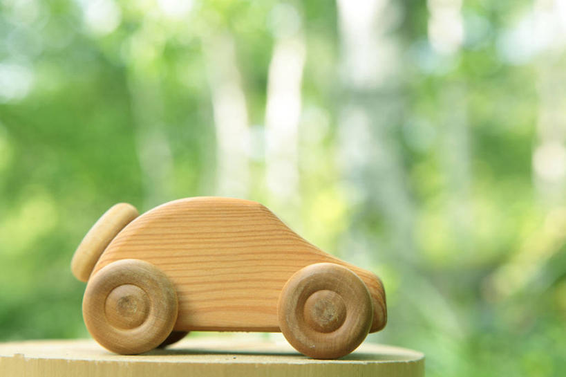 无人,横图,室外,特写,白天,正面,美景,森林,树林,植物,汽车,长野县,日本,亚洲,阴影,环保,朦胧,模糊,光线,木制,影子,景观,树桩,车,树,树干,树木,绿色,阳光,自然,模型,木制品,交通工具,轿车,木桩,景色,白桦,生长,能源,成长,回收,资源,自然风光,载具,利用,低碳,东亚,循环,本州,本州岛,日本国,中部地方,长野,诹访,持续,诹访市,桦树,桦皮树,桦木,彩图