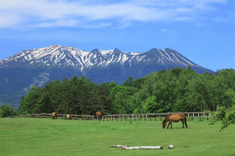 无人,农场,栏杆,站,吃,横图,室外,白天,正面,旅游,度假,畜牧业,牧场,草地,草坪,美景,山,树林,雪,雪山,植物,大雪,马,野生动物,长野县,日本,亚洲,阴影,光线,影子,栅栏,冰,积雪,景观,篱笆,山峰,雪景,云,云朵,冬季,冬天,围栏,山峦,云彩,注视,娱乐,护栏,五匹,草,树,树木,蓝色,绿色,白云,蓝天,天空,阳光,自然,动物,天,低头,观察,看,站着,享受,休闲,景色,放松,寒冷,运输,牲畜,生长,晴朗,成长,观看,察看,冰冷,关注,自然风光,东亚,畜牧,本州,本州岛,日本国,中部地方,长野,牧业,严寒,冰凉,酷寒,凛冽,凛凛,极冷,晴空,嚼,食,站立,彩图,全身,木曾郡