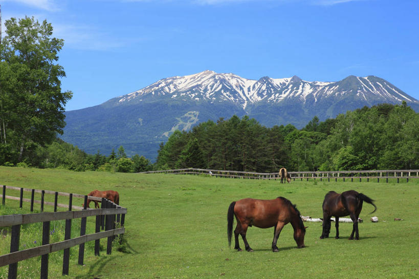 无人,农场,栏杆,站,吃,横图,室外,白天,正面,旅游,度假,畜牧业,牧场,草地,草坪,美景,山,树林,雪,雪山,植物,大雪,马,野生动物,长野县,日本,亚洲,阴影,光线,影子,栅栏,冰,积雪,景观,篱笆,山峰,雪景,云,云朵,冬季,冬天,围栏,山峦,云彩,注视,娱乐,护栏,草,树,树木,四匹,蓝色,绿色,白云,蓝天,天空,阳光,自然,动物,天,低头,观察,看,站着,享受,休闲,景色,放松,寒冷,运输,牲畜,生长,晴朗,成长,观看,察看,冰冷,关注,自然风光,东亚,畜牧,本州,本州岛,日本国,中部地方,长野,牧业,严寒,冰凉,酷寒,凛冽,凛凛,极冷,晴空,嚼,食,站立,彩图,全身,木曾郡
