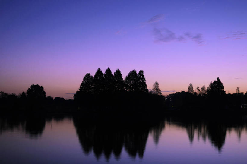 无人,横图,室外,白天,正面,旅游,度假,日出,湖,湖泊,美景,树林,水,太阳,植物,东京,日本,亚洲,阴影,光线,影子,湖面,景观,水流,水面,云,云朵,朝霞,晨曦,黎明,背光,云彩,娱乐,树,树木,绿色,白云,阳光,自然,湖水,享受,休闲,景色,放松,生长,成长,自然风光,逆光,东亚,本州,关东地方,本州岛,日本国,东京都,水元公园,葛饰区,朝阳,彩图,卯时,破晓,日始