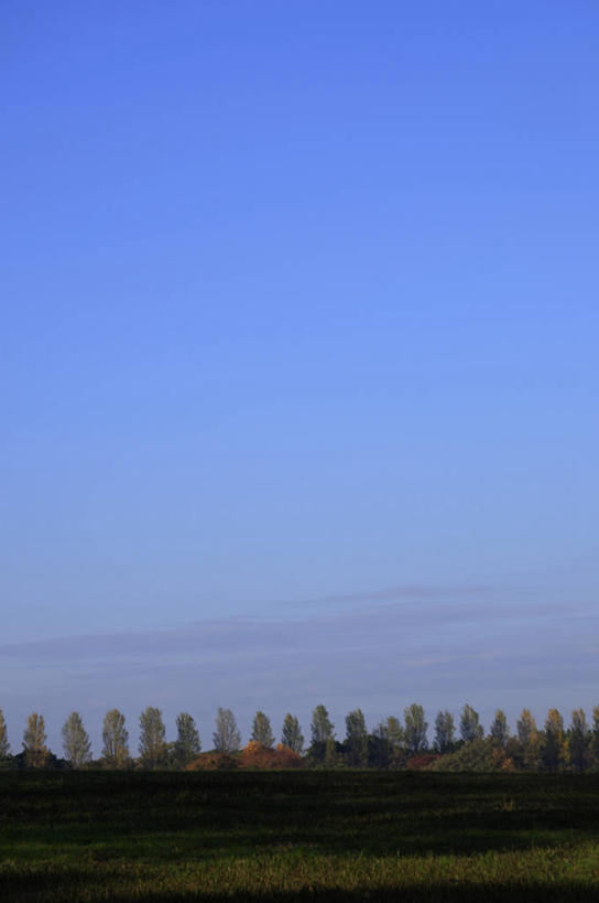 无人,竖图,室外,白天,正面,旅游,度假,草地,草坪,美景,树林,植物,东京,日本,亚洲,一排,阴影,整齐,光线,影子,景观,云,云朵,云彩,娱乐,草,树,树木,排列,蓝色,绿色,白云,蓝天,天空,阳光,自然,天,享受,休闲,景色,放松,生长,晴朗,成长,队列,自然风光,东亚,本州,关东地方,本州岛,日本国,东京都,水元公园,葛饰区,晴空,彩图