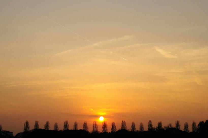 无人,横图,室外,白天,正面,旅游,度假,美景,日落,树林,太阳,植物,东京,日本,亚洲,一排,阴影,整齐,光线,影子,景观,晚霞,霞光,落日,背光,娱乐,树,树木,排列,绿色,阳光,自然,黄昏,享受,休闲,景色,彩霞,放松,生长,成长,队列,自然风光,逆光,东亚,本州,关东地方,本州岛,日本国,东京都,水元公园,夕照,薄暮,葛饰区,夕阳,彩图,傍晚,斜阳