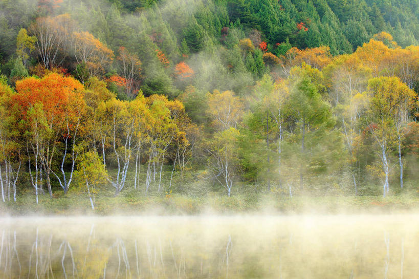 无人,横图,室外,白天,正面,旅游,度假,日出,湖,湖泊,美景,森林,树林,水,太阳,植物,雾,长野县,日本,亚洲,朦胧,模糊,湖面,景观,水流,水面,朝霞,晨曦,黎明,娱乐,树,树木,绿色,阳光,自然,湖水,享受,休闲,景色,放松,生长,成长,迷雾,自然风光,东亚,本州,本州岛,日本国,中部地方,长野,山之内,山之内町,下高井郡,朝阳,大雾,彩图,卯时,破晓,日始