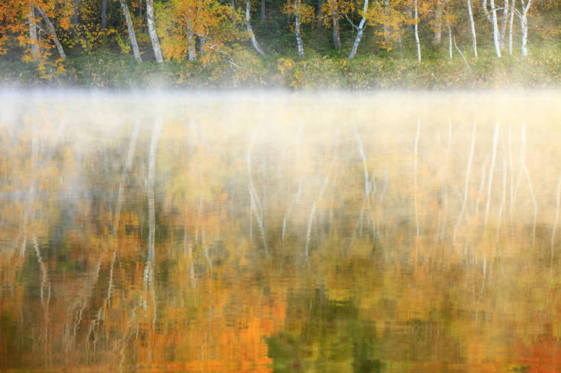 无人,横图,室外,白天,正面,旅游,度假,日出,湖,湖泊,美景,森林,树林,水,太阳,植物,雾,长野县,日本,亚洲,朦胧,模糊,湖面,景观,水流,水面,朝霞,晨曦,黎明,娱乐,树,树木,绿色,阳光,自然,湖水,享受,休闲,景色,放松,生长,成长,迷雾,自然风光,东亚,本州,本州岛,日本国,中部地方,长野,山之内,山之内町,下高井郡,朝阳,大雾,彩图,卯时,破晓,日始