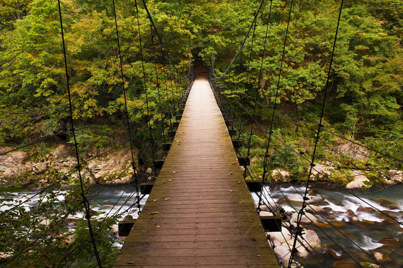 无人,横图,俯视,室外,白天,旅游,度假,河流,石头,美景,树林,水,植物,日本,亚洲,石子,河水,景观,水流,桥,娱乐,树,树木,绿色,自然,享受,休闲,景色,放松,吊桥,生长,成长,人行桥,悬索桥,自然风光,吊杆,东亚,本州,本州岛,日本国,中部地方,岐阜,岐阜县,锚锭,悬索,石块,岩石,彩图,高角度拍摄,中津川市