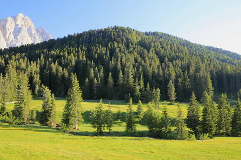 无人,横图,室外,白天,正面,旅游,度假,石头,美景,森林,山,山脉,树林,植物,意大利,欧洲,阿尔卑斯山,石子,景观,山峰,云,云朵,山峦,云彩,娱乐,树,树木,蓝色,绿色,白云,蓝天,天空,自然,群山,天,享受,休闲,景色,放松,生长,晴朗,成长,南欧,自然风光,阿尔卑斯山脉,意大利共和国,威内托,威内托大区,多洛米蒂山脉,贝卢诺,贝卢诺省,石块,岩石,晴空,彩图,波尔萨诺,博尔扎诺,特伦托自治省