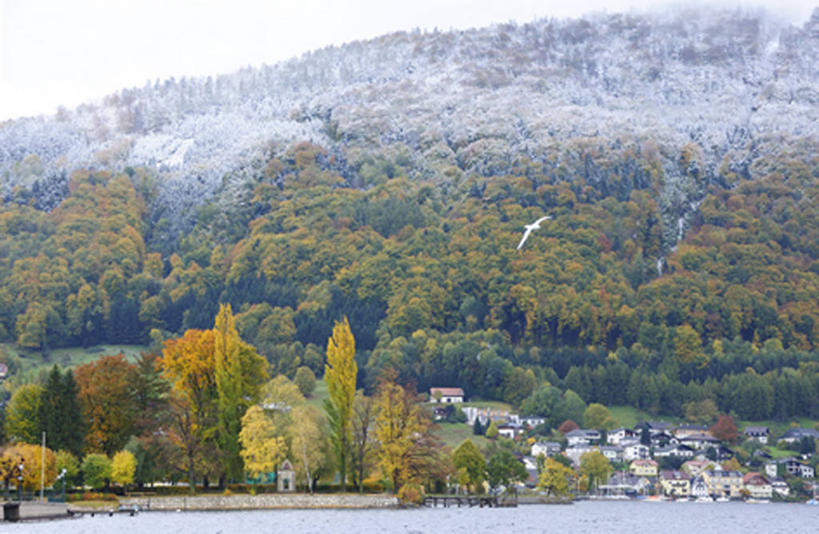 无人,家,横图,室外,白天,正面,旅游,度假,湖,湖泊,石头,美景,森林,山,山脉,树林,水,植物,雾,奥地利,欧洲,吊挂,悬挂,波纹,朦胧,模糊,清澈,石子,房屋,屋子,湖面,景观,山顶,山峰,水流,水面,涟漪,山峦,挂,霜,娱乐,楼房,住宅,树,树木,绿色,倒影,水纹,自然,波浪,湖水,群山,享受,休闲,景色,放松,寒冷,生长,成长,迷雾,冰冷,倒映,自然风光,中欧,沉积岩,首府,萨尔斯堡,水晕,严寒,奥地利共和国,冰凉,酷寒,凛冽,凛凛,极冷,萨尔茨堡,萨尔茨堡州,颠峰,极峰,反照,清亮,萨尔茨卡默古特,水成岩,特劳恩湖,石块,岩石,大雾,彩图,房子