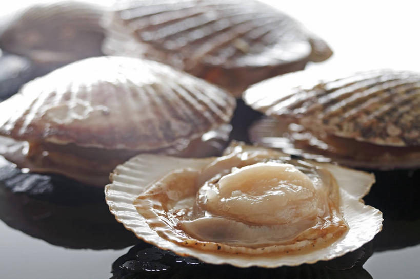 海鲜,无人,横图,俯视,室内,特写,白天,餐桌,桌子,阴影,朦胧,模糊,反射,影子,扇贝,水产,海洋生物,四个,餐台,水生动物,海产品,水生物,海底动物,半身,彩图,高角度拍摄