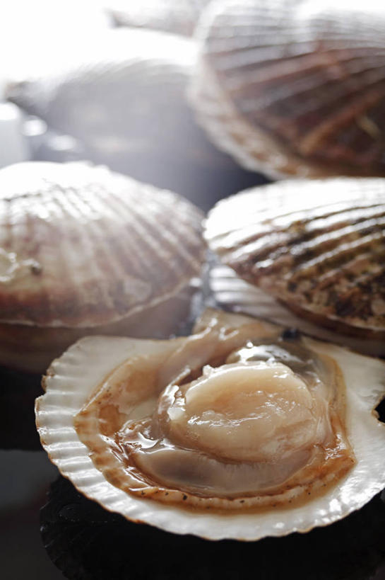 海鲜,无人,竖图,俯视,室内,特写,白天,餐桌,桌子,阴影,朦胧,模糊,反射,影子,扇贝,水产,海洋生物,四个,餐台,水生动物,海产品,水生物,海底动物,半身,彩图,高角度拍摄